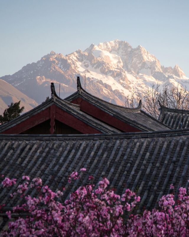 Discover @amandayan_resort, an intimate luxury hilltop hideaway perched beneath Jade Dragon Mountain in the ancient city of Lijiang in #China. You will be immersed in #Chinese culture with the #Naxi minority known for its own religion, language and cryptographic writing symbols.#lartisiencollection #luxurytravel #luxuryretreat
